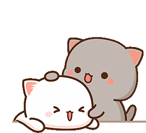 😽😽